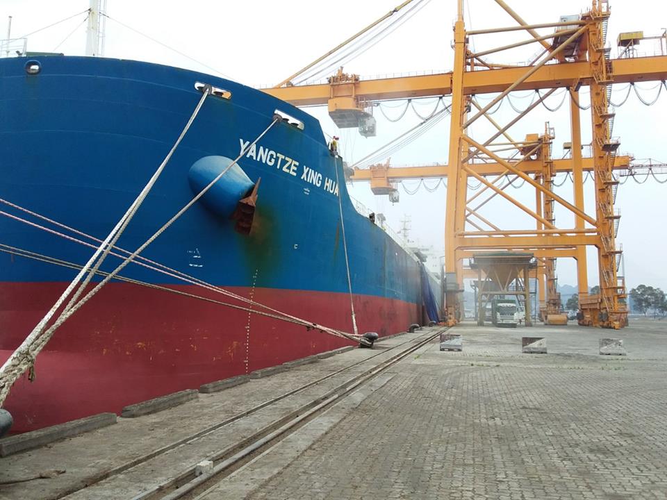 Tàu Yangtze Xing Hua hàng Khô Đậu cảng Cái Lân
