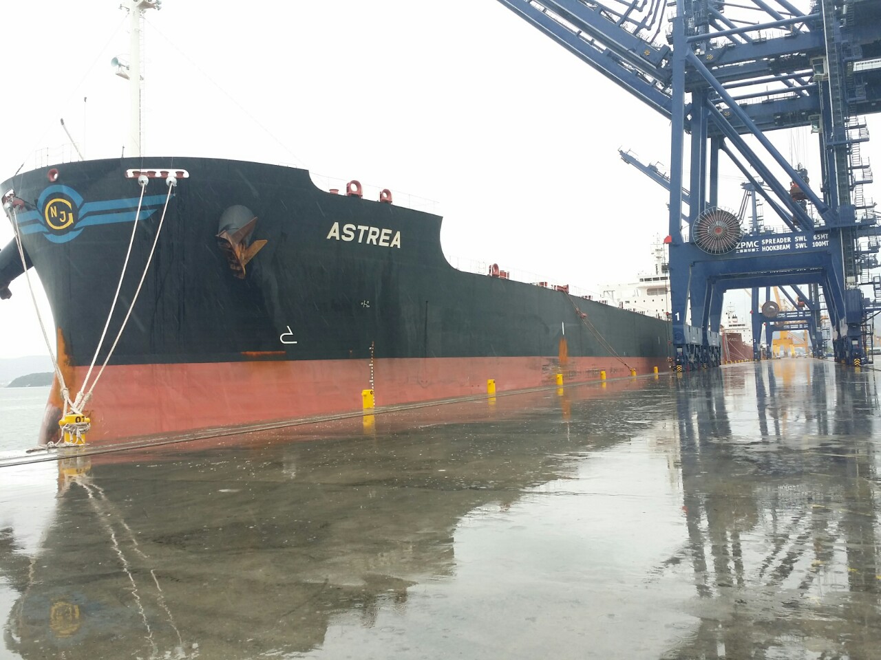 Tàu ASTREA ngô + khô đậu cảng CICT
