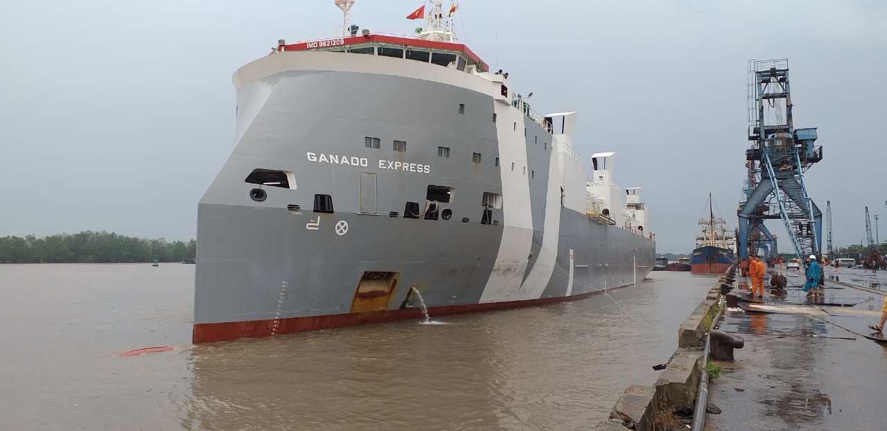 Tầu Bò Úc GANADO EXPRESS cảng Cá HP
