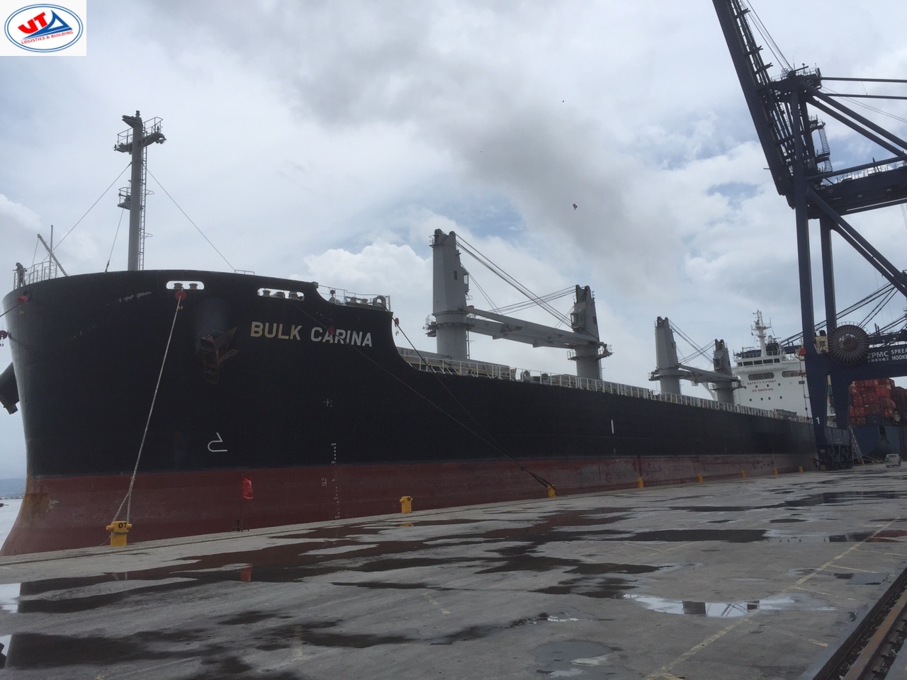 Tầu MV BULK CARINA lúa mỳ cảng CICT