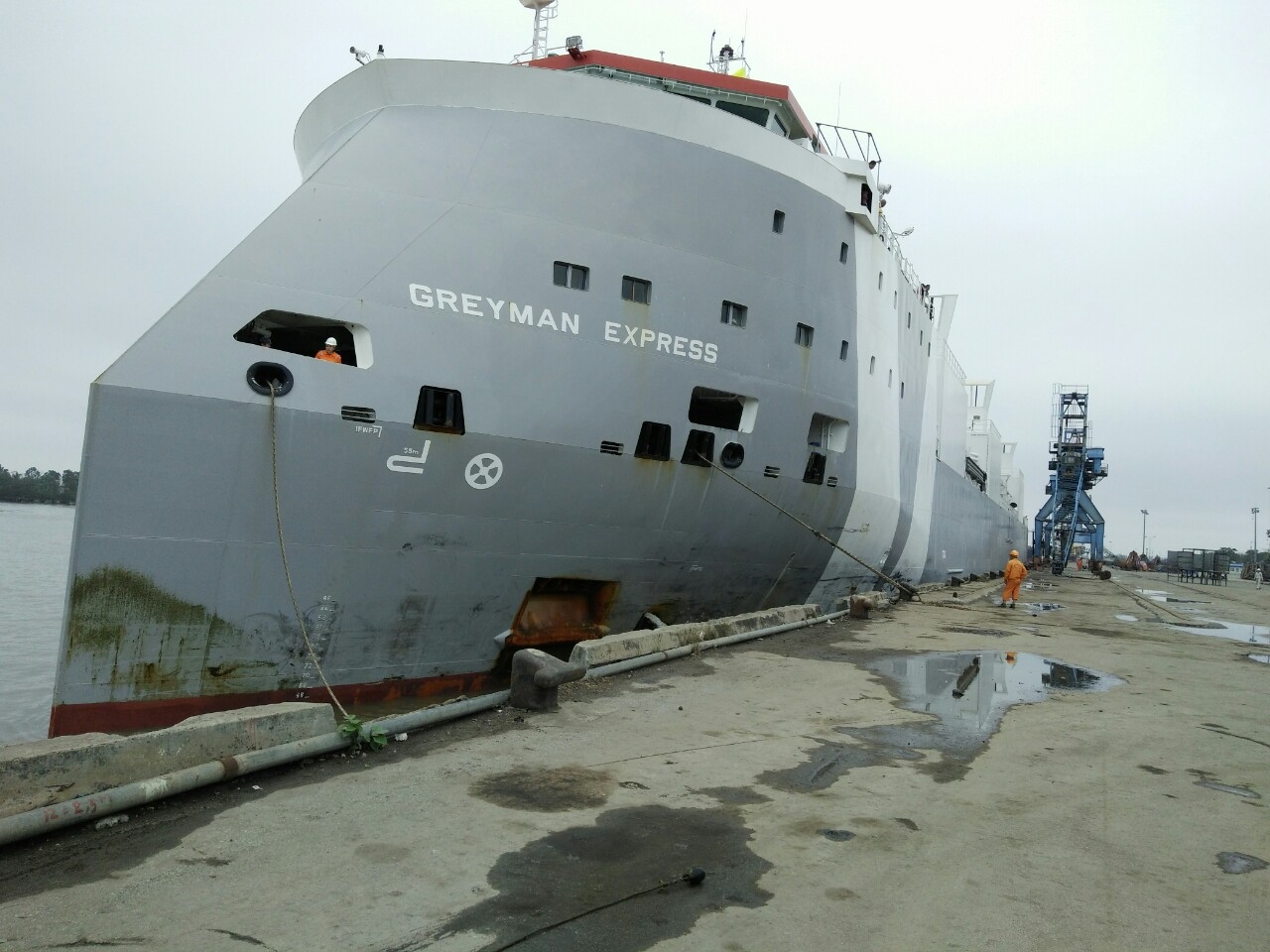 The Ship RICH OCEAN 7 carries wheat bran at Hoang Dieu port