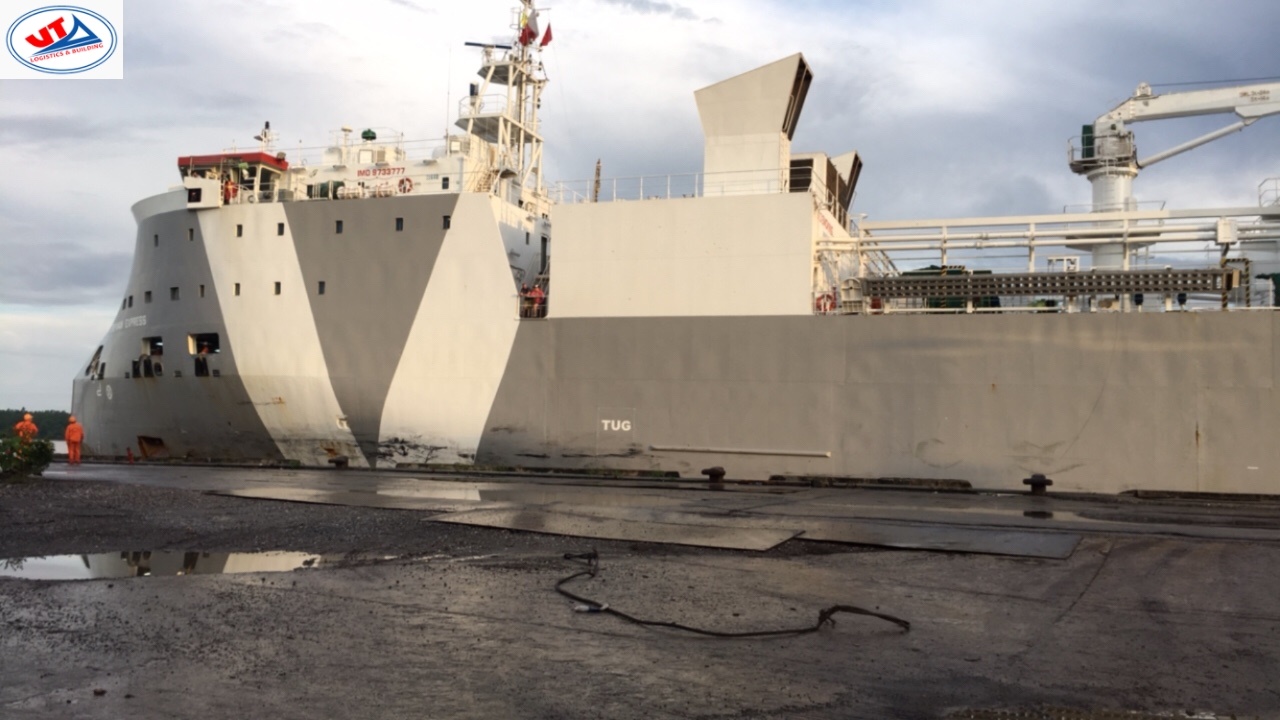 Hai tầu bò Úc GREYMAN EXPRESS - SHOTHORN EXPRESS cảng cá Hải Phòng