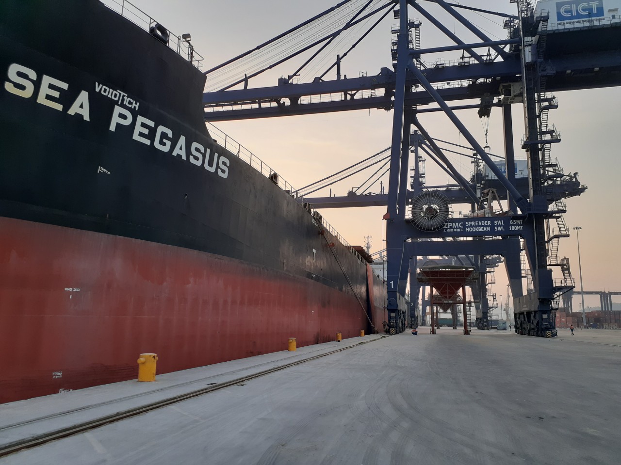 Tàu SEA PEGASUS ngô cảng CICT