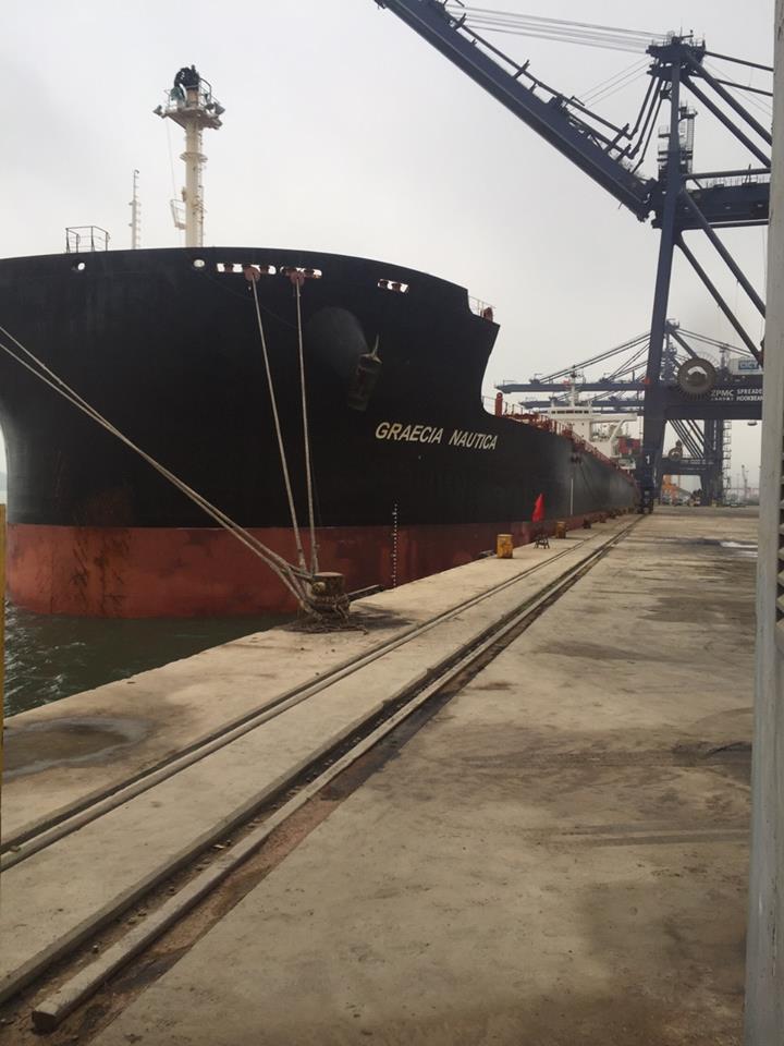 The Ship GRAECIA NAUTICA carries corn at CICT port